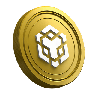 Page du guide du nouveau trader avec une pièce de cryptomonnaie Binance BNB